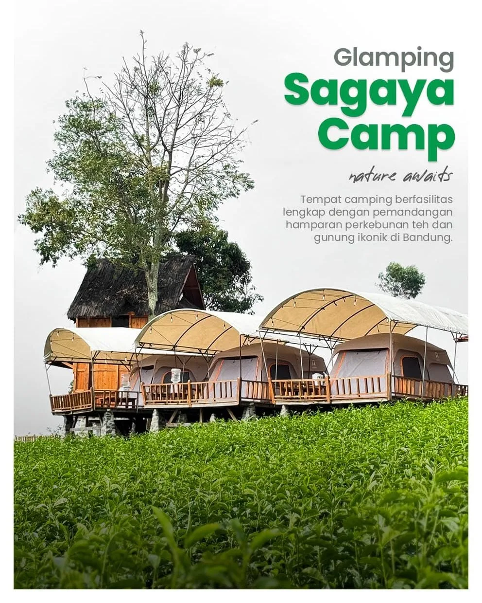 Glamping Pangalengan